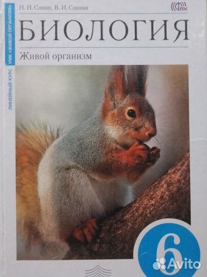 Учебники и тетради , старшие классы