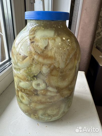 Грибы грузди соленые