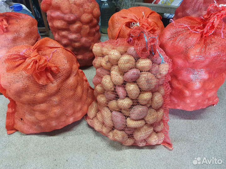 Картошка продажа
