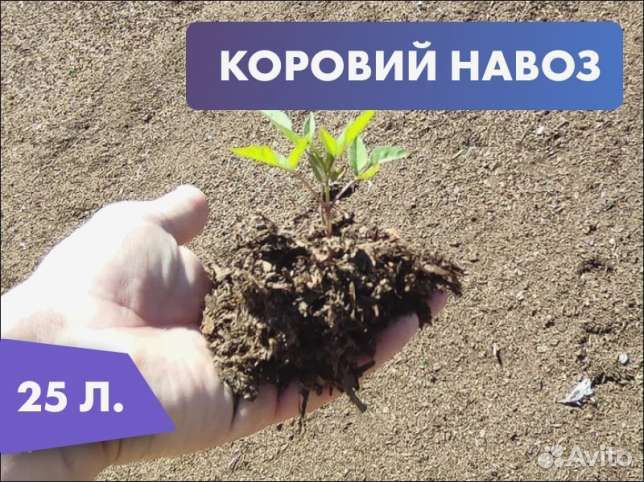 Удобрение коровий навоз (прелый) 25 литров