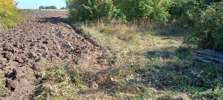 Участок 40 сот. (ИЖС)