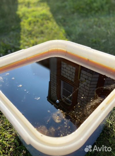 Алтайский мед оптом 2023