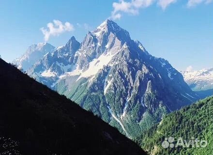 Личный помошник-водитель