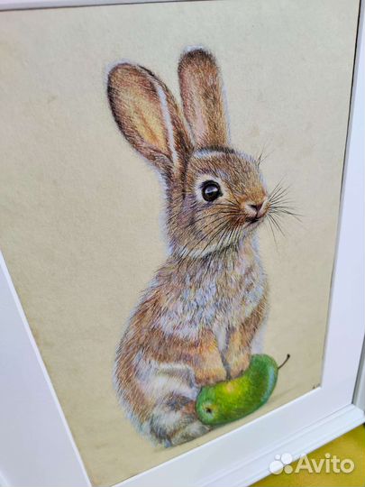 Картина кролик в раме