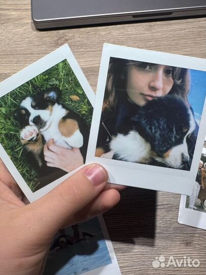 Печать настоящих фотографий polaroid