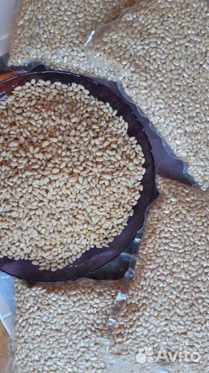 Кедровые орешки