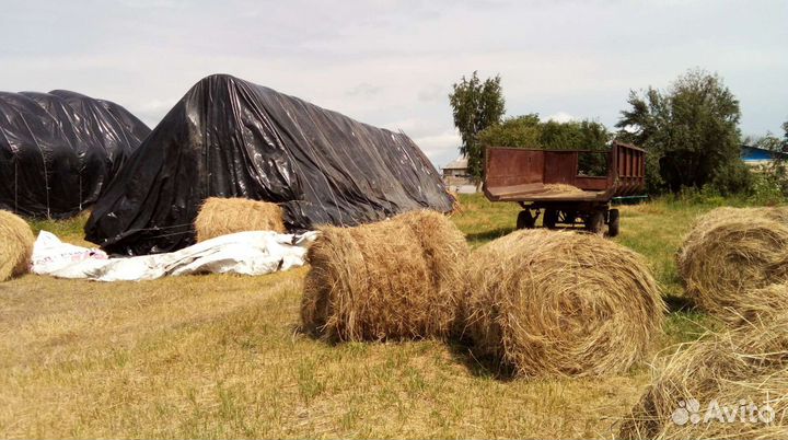 Сено в тюках