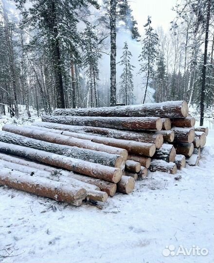 Круглый лес хвоя, береза