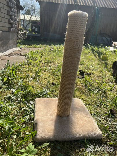 Когтеточка