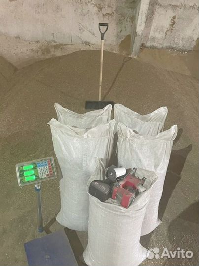 Пшеница кормовая