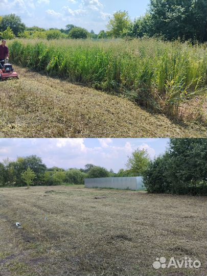 Спил деревьев / альпинист / покос травы