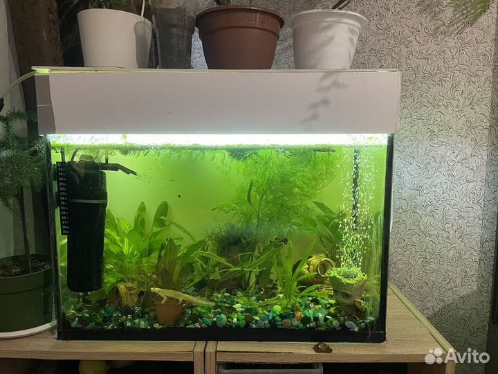 Аквариум 80 литров