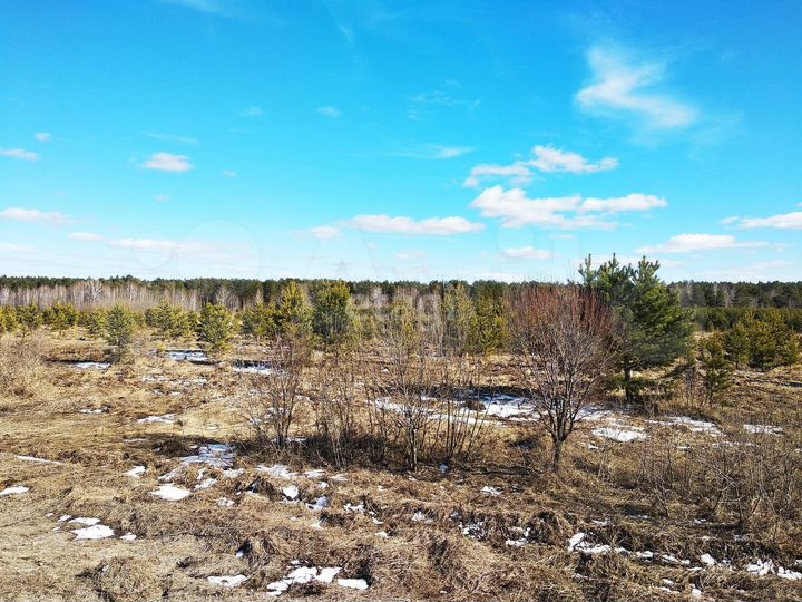 Участок 8 сот. (СНТ, ДНП)