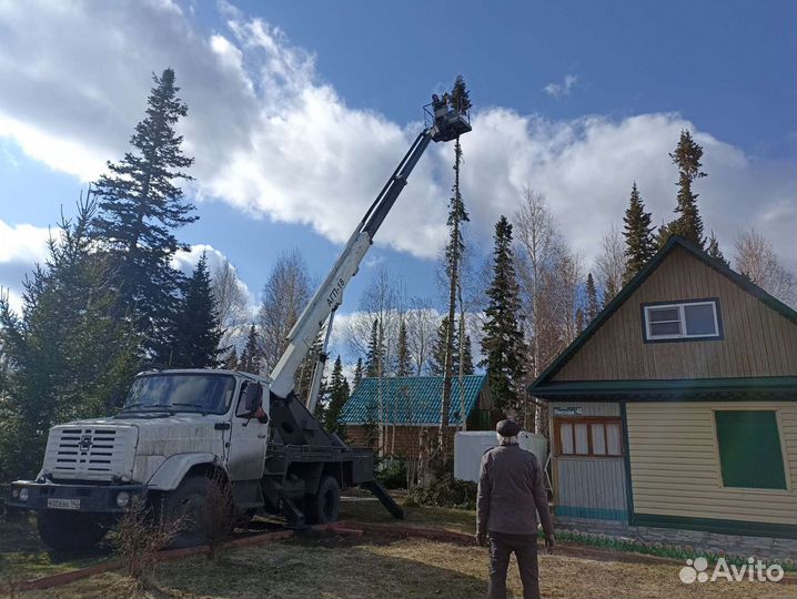 Уборка деревьев