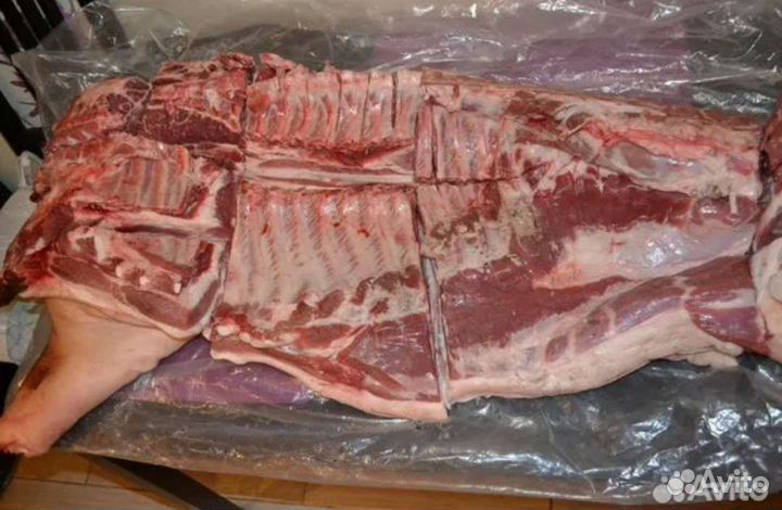 Продам мясо свинина