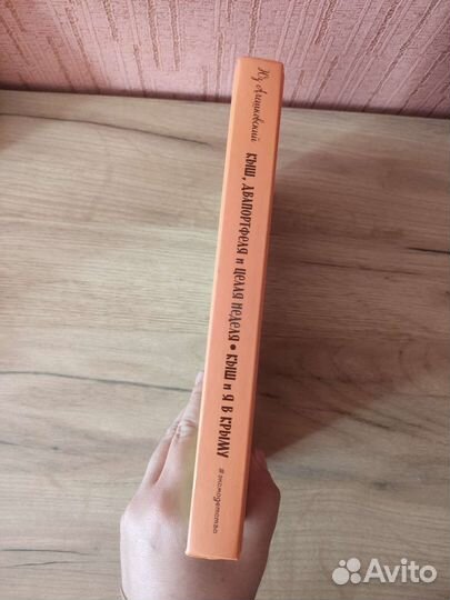 Юз Алешковский Кыш, Двапортфеля и целая неделя