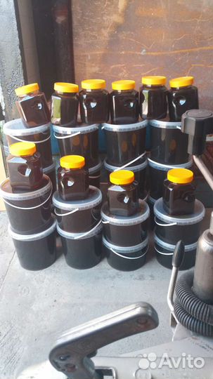 Мед гречишный 2023