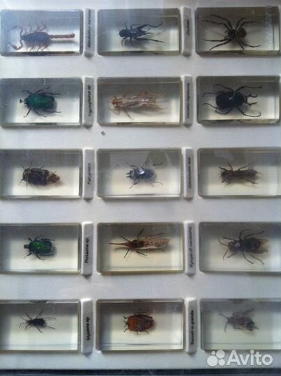 Коллекционные издания с цветными картинками