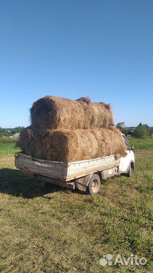 Сено в рулонах