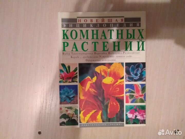 Энциклопедия комнатных растений