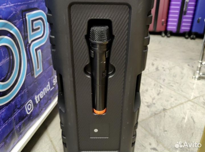 Большая портативная колонка с караоке