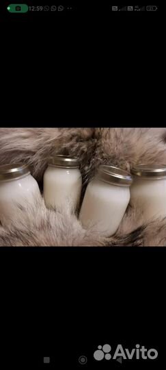 Жир от желудка