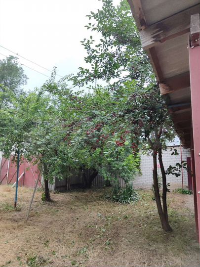 Дом 62 м² на участке 6 сот.