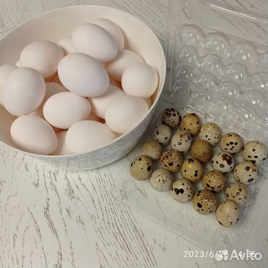 Продам яйцо куриное,перепелиное домашнее