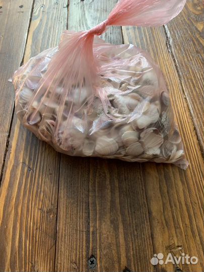 Ракушки для аквариума