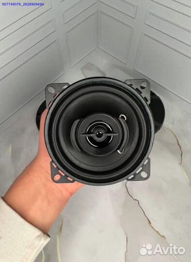 Новые автоколонки Pioneer TS-A1095 500W