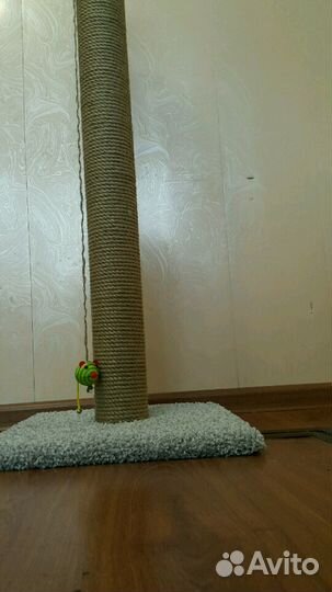 Когтеточка