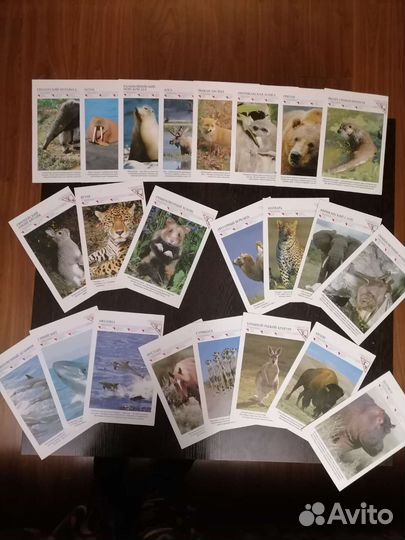 Открытки и карточки про животных 71 шт цена за все