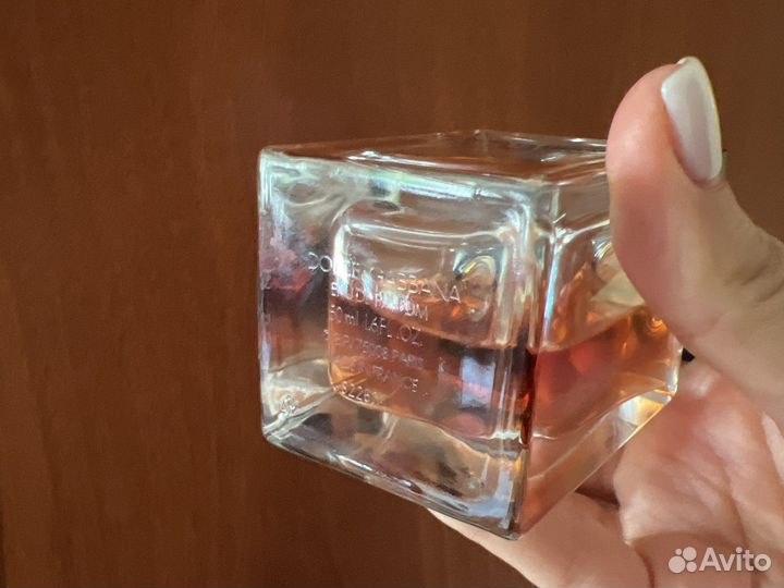 Dolce gabbana the only one