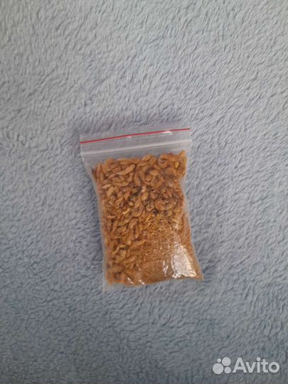 Корм для черепах