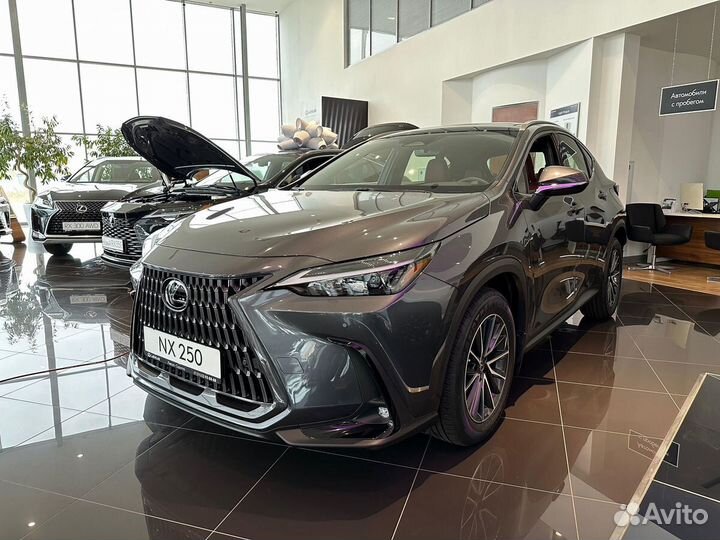 Lexus NX 2.5 AT, 2022