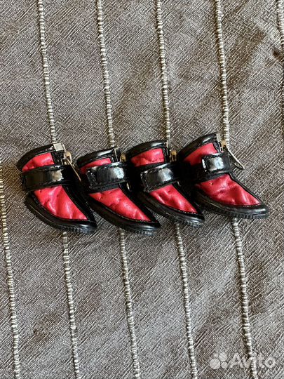 Ботинки для маленькой собаки