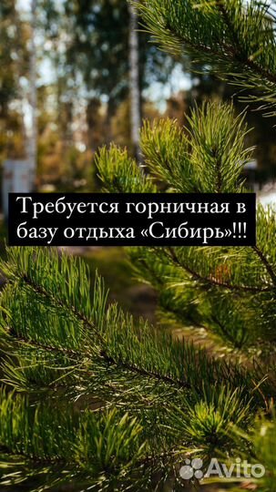 Администатор-Горничная