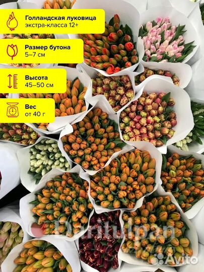 Тюльпаны корпоративные букеты к 8 марта