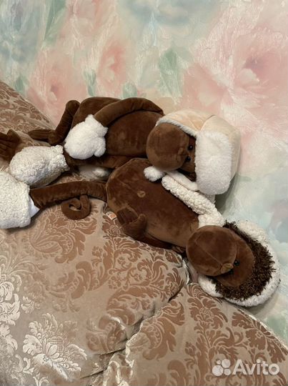 Смешные обезьянки «парочка два подарочка»