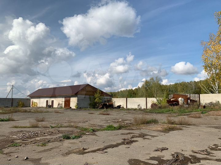 Производственная площадка, 1268 м²