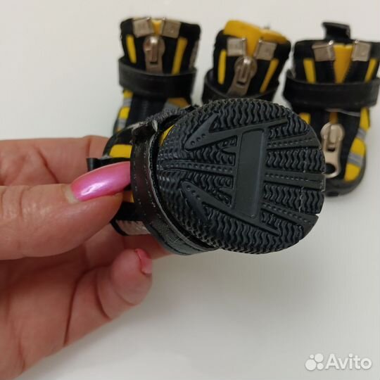 Сапожки для собачки