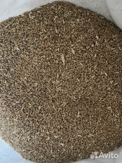 Комбикорм Для Птицы