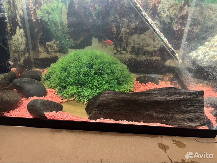 Аквариум