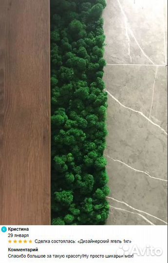 Стабилизированный мох для эко-дизайна