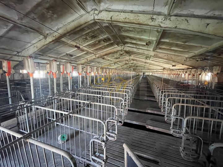 ПСН в черте города