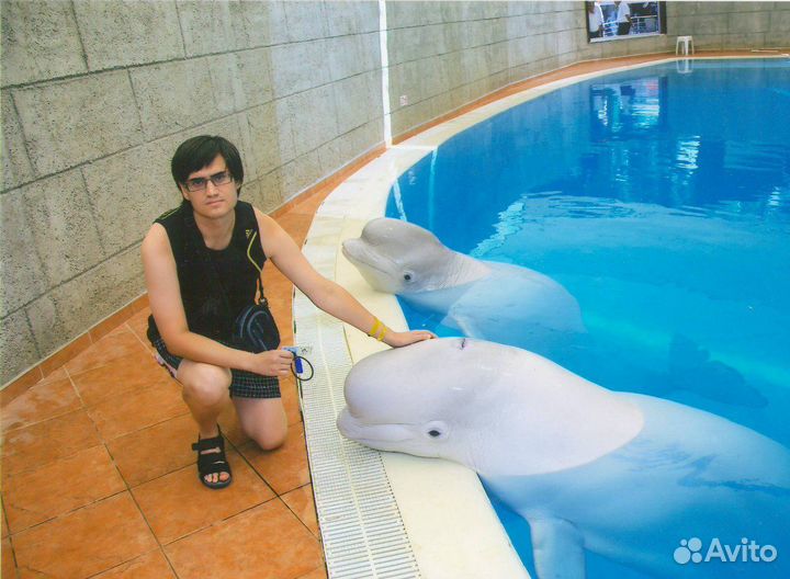 Скайп-репетитор по английскому и немецкому языкам