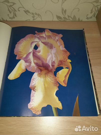 Хобби и отдых