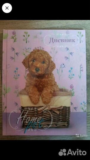 Дневники,Физика