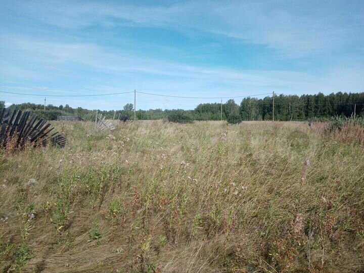 Участок 15 сот. (ИЖС)