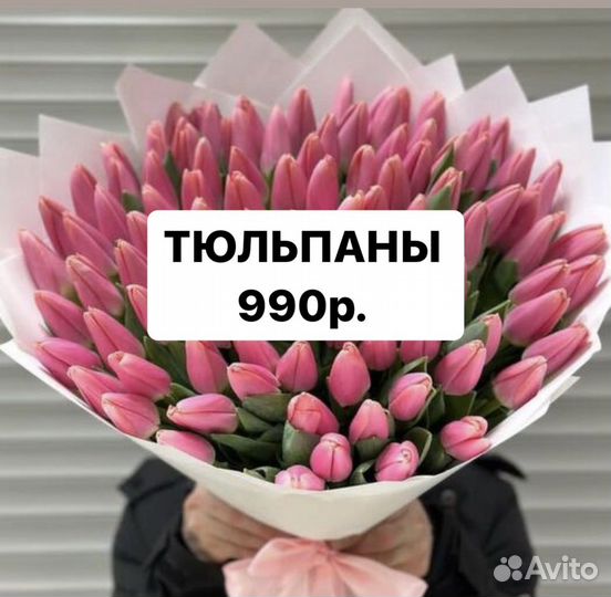 Тюльпаны цветы букеты 51 тюльпан 101 доставка